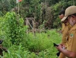 Dinas Ketahanan Pangan Akan Bangun Rumah Pembibitan Di Kampung Nawaripi