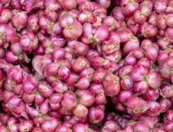 Harga Bawang Merah Mengalami Kenaikan 70.000 Per Kg Di Pasar Timika 20/06/2022