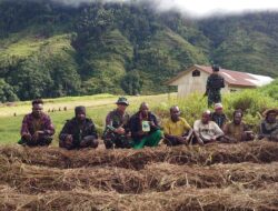 “Subur Tanahku, Beragam Kebunku; Satgas Yonif PR 433/JS mengajarkan ilmu pertanian modern di Distrik Mbua.”