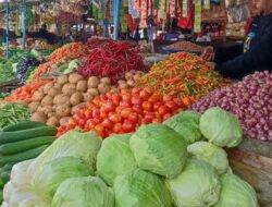 Besok Menteri Perdagangan, Dikabarkan Cek Harga Bahan Pokok Di Pasar Setral Timika.