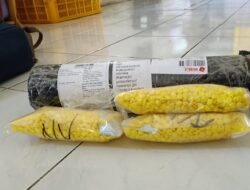 Satuan Resnarkoba, Tangkap  Pelaku Tindak Pidana Kesehatan.