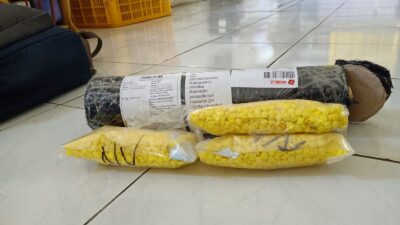 Satuan Resnarkoba, Tangkap  Pelaku Tindak Pidana Kesehatan.