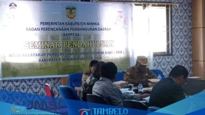 Pemkab Mimika Lakukan Seminar Pendahuluan DOB Baru Kabupaten Mimika Tahun 2024