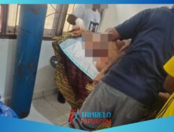 Dua Penembang Kayu Terbunuh,OPM Di Sebut Dalang Dari Aksi Tersebut