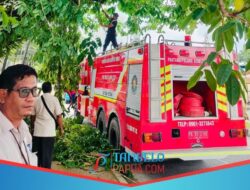Bapenda dan BPBD Bersihkan Papan Reklame di Timika