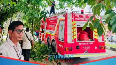Bapenda dan BPBD Bersihkan Papan Reklame di Timika