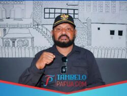 Wakil Ketua II MRP Apresiasi Keberhasilan Satgas Ops Damai Cartenz 2025 Ungkap Jaringan Pemasok Senjata ke KKB