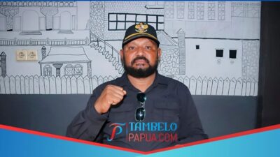 Wakil Ketua II MRP Apresiasi Keberhasilan Satgas Ops Damai Cartenz 2025 Ungkap Jaringan Pemasok Senjata ke KKB