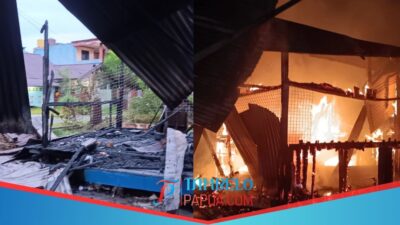 Pos Peka Dibakar OTK, Anggota DPRK Mimika Pieterson Laly Berharap Polisi Ambil Langkah Tegas