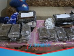 TNI Gagalkan Penyeludupan 1,2 Kg Ganja Di Hamadi
