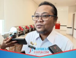 Produksi Babi di Mimika Turun, Harga Daging Babi Melonjak