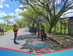 Seorang Pria Tewas Di Distrik Dekai, Polisi Dalami Motif Pelaku Pembunuhan