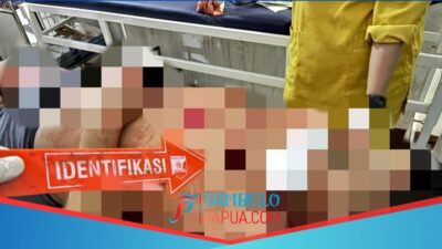 Warga Sipil Tewas Ditembak KKB di Intan Jaya, Satgas Ops Damai Cartenz Buru Pelaku