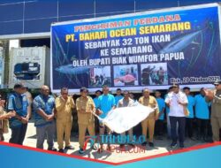 Sentra Perikanan Biak Menguat: 32 Ton Ikan Perdana Dikirim ke Semarang, Target Ekspor Kian Nyata