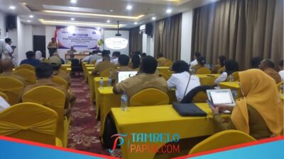 Dorong Integrasi dan Akurasi Data Statistik, Diskominfo Kabupaten Mimika Lakukan Seminar