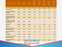 Harga Komoditas di Mimika Pada Januari 2025 Mengalami Kenaikan