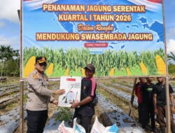 Dukung Ketahanan Pangan, Polres Mimika Laksanakan Penanaman Jagung Kuartal I 2026