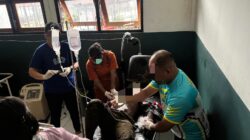 Sempat Melawan Petugas, Satu Anggota KKB Puncak Jaya Berhasil Dilumpuhkan Satgas Ops Damai Cartenz