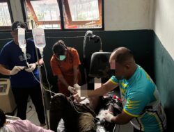 Sempat Melawan Petugas, Satu Anggota KKB Puncak Jaya Berhasil Dilumpuhkan Satgas Ops Damai Cartenz