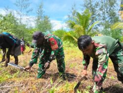 Dukung Ketahanan Pangan, Satgas TMMD 1710/Mimika Sulap Lahan Tidur 1,5 Hektar Jadi Area Produktif