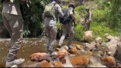 Tembus Hutan Belantara, Petugas Gabungan Fokus Evakuasi 10 Korban Pembunuhan di Awimbon