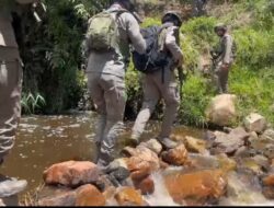 Tembus Hutan Belantara, Petugas Gabungan Fokus Evakuasi 10 Korban Pembunuhan di Awimbon