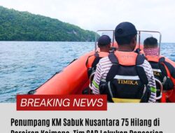 Penumpang KM Sabuk Nusantara 75 Hilang di Perairan Kaimana, Tim SAR Lakukan Pencarian