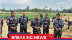 Dankodaeral XI Merauke Tinjau Lahan Ketahanan Pangan di Lanal Timika