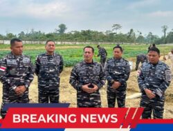 Dankodaeral XI Merauke Tinjau Lahan Ketahanan Pangan di Lanal Timika