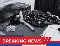 BREAKING NEWS: Seorang Pria Ditemukan Tewas Bersimbah Darah di Jalan Kelimutu Timika
