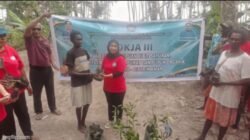 Perkuat Ketahanan Pangan Keluarga, Pokja III TP-PKK Mimika Bagikan Bibit Kelor di Ipaya