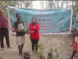 Perkuat Ketahanan Pangan Keluarga, Pokja III TP-PKK Mimika Bagikan Bibit Kelor di Ipaya